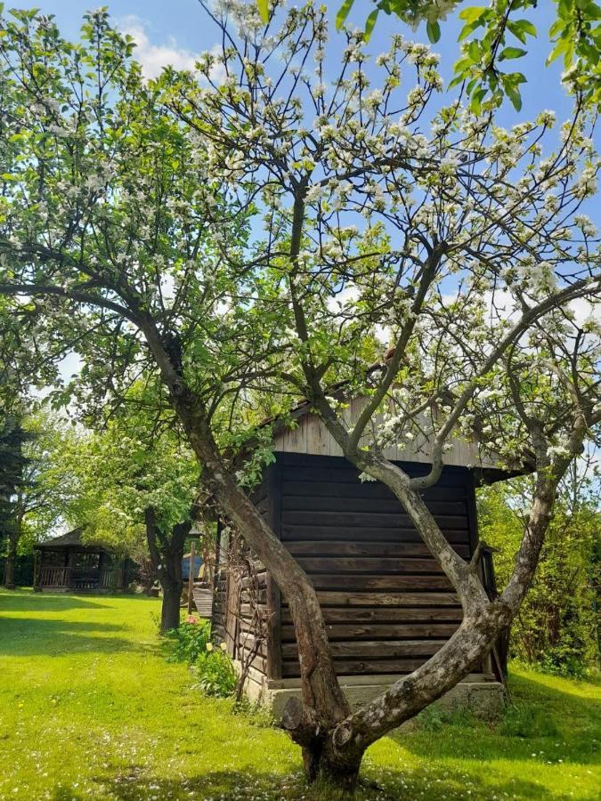 Agroturystyka Stokrotka Риманув-Здруй Екстер'єр фото
