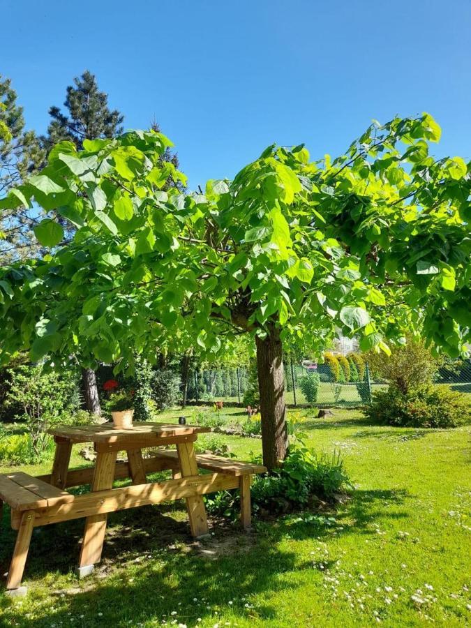 Agroturystyka Stokrotka Риманув-Здруй Екстер'єр фото